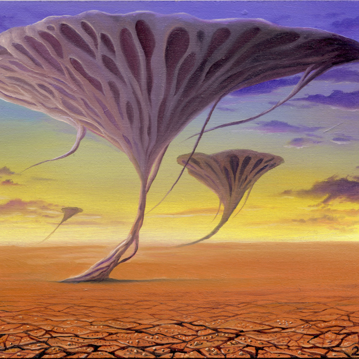 Silhouette of a hiker at sunset